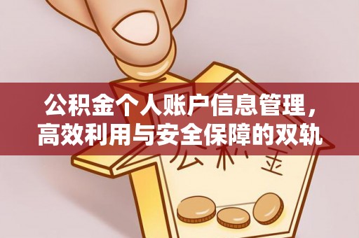 齐河公积金个人账户信息管理，高效利用与安全保障的双轨并行