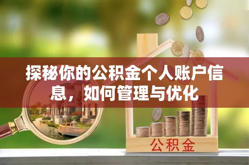 齐河探秘你的公积金个人账户信息，如何管理与优化
