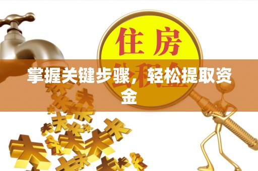 齐河掌握关键步骤，轻松提取资金