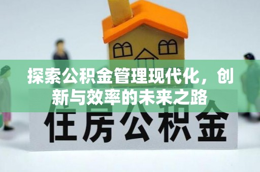 齐河探索公积金管理现代化，创新与效率的未来之路