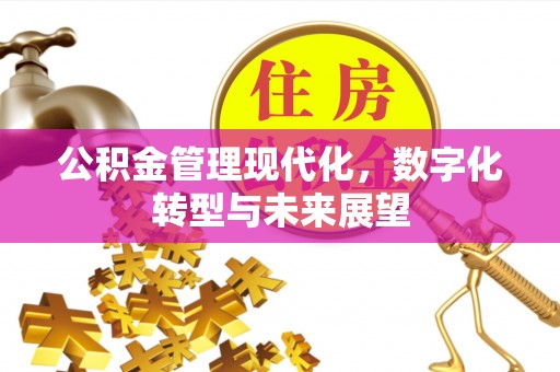 齐河公积金管理现代化，数字化转型与未来展望