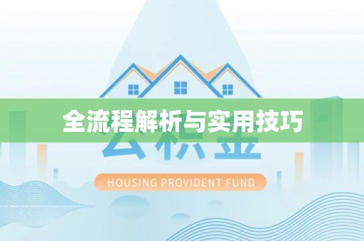 齐河全流程解析与实用技巧