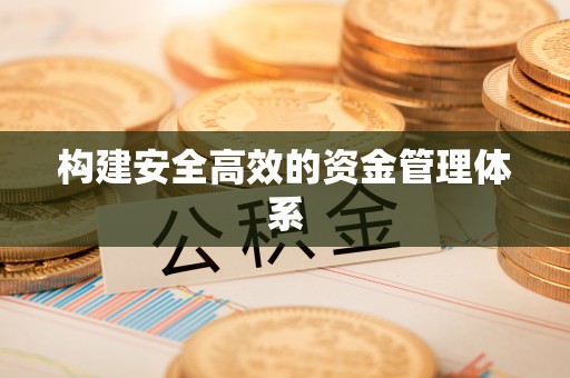 齐河构建安全高效的资金管理体系
