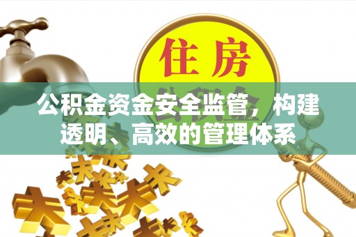 齐河公积金资金安全监管，构建透明、高效的管理体系