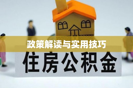 齐河政策解读与实用技巧