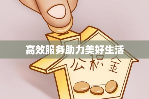 齐河高效服务助力美好生活