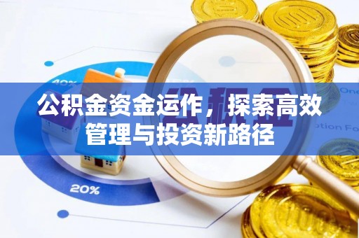 齐河公积金资金运作，探索高效管理与投资新路径