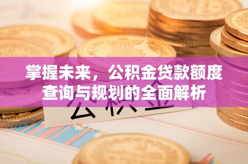 齐河掌握未来，公积金贷款额度查询与规划的全面解析