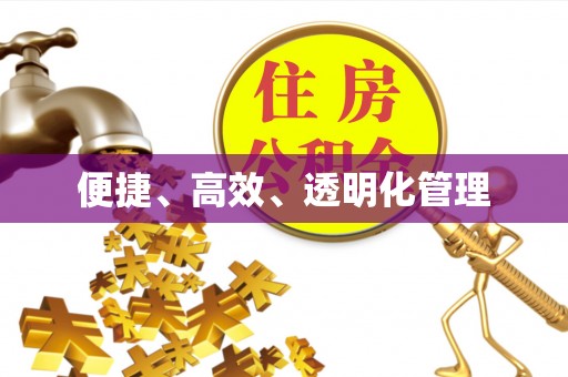 齐河便捷、高效、透明化管理
