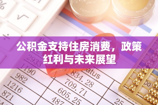 齐河公积金支持住房消费，政策红利与未来展望