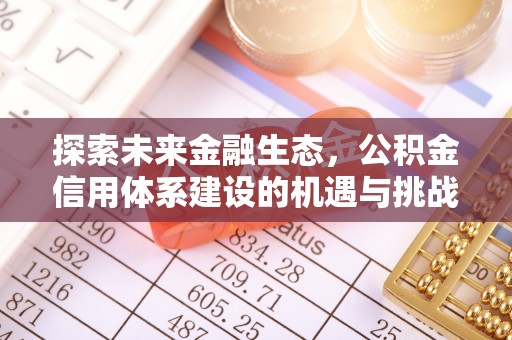 齐河探索未来金融生态，公积金信用体系建设的机遇与挑战