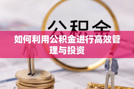 齐河如何利用公积金进行高效管理与投资
