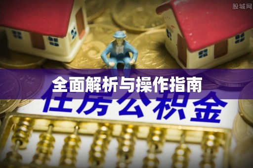 齐河全面解析与操作指南