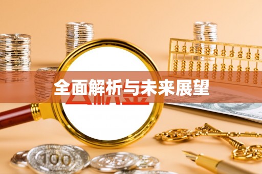 齐河全面解析与未来展望