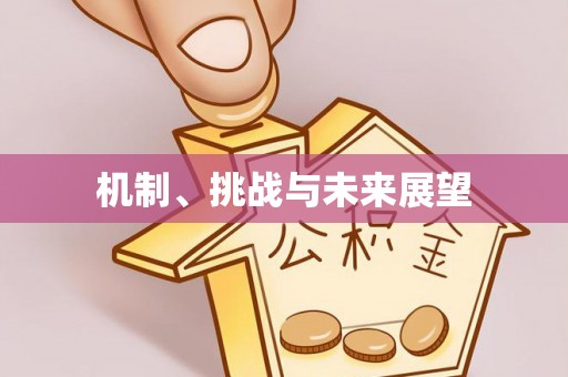 齐河机制、挑战与未来展望