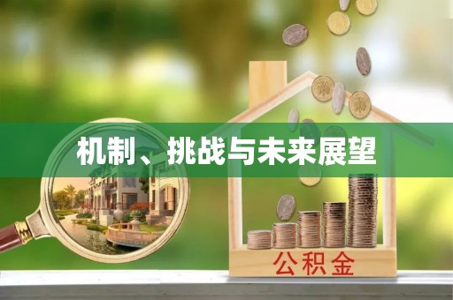 齐河机制、挑战与未来展望